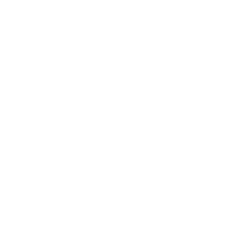 Bajaj